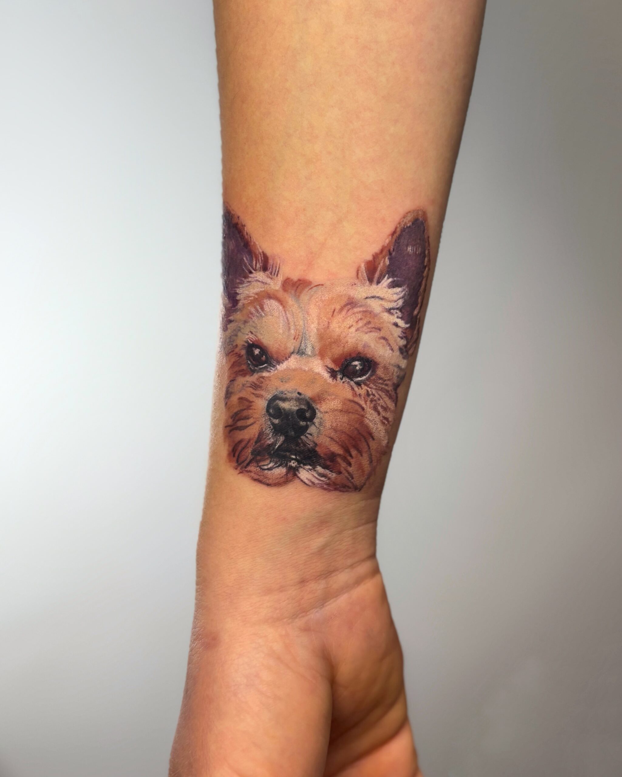 Img 4065 Snapseedcopy