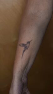 6d138ecf 995b 4105 9b61 9aaa59c2dcb8